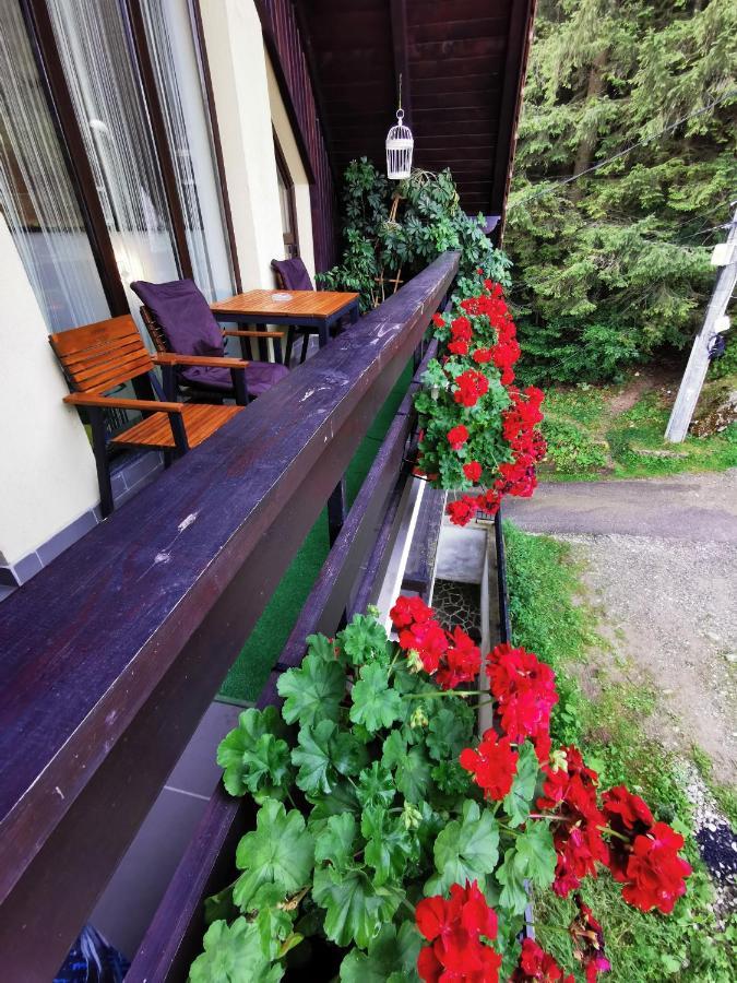 Apartament Kalinderu K1 Bușteni Bagian luar foto