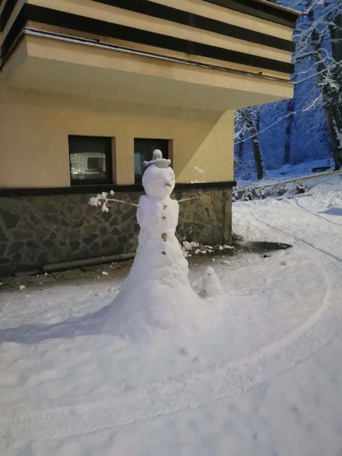 Apartament Kalinderu K1 Bușteni Bagian luar foto