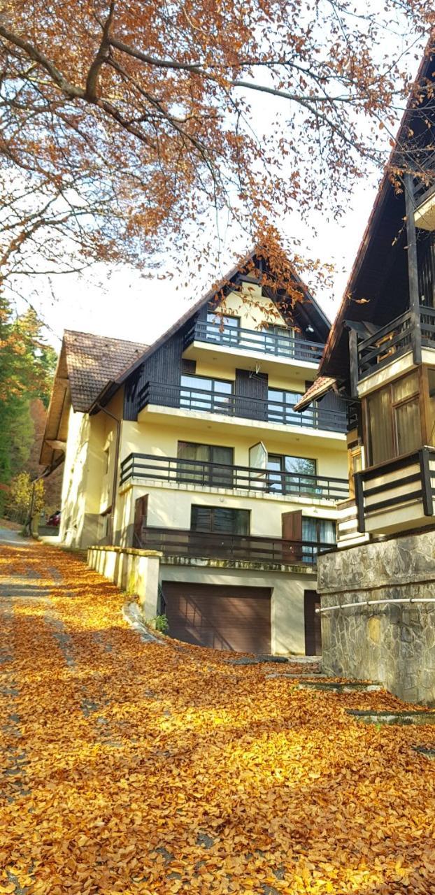 Apartament Kalinderu K1 Bușteni Bagian luar foto